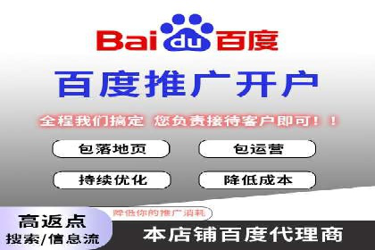 百度推广代运营公司：打造高效的网络营销团队